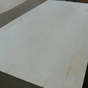birch plywood