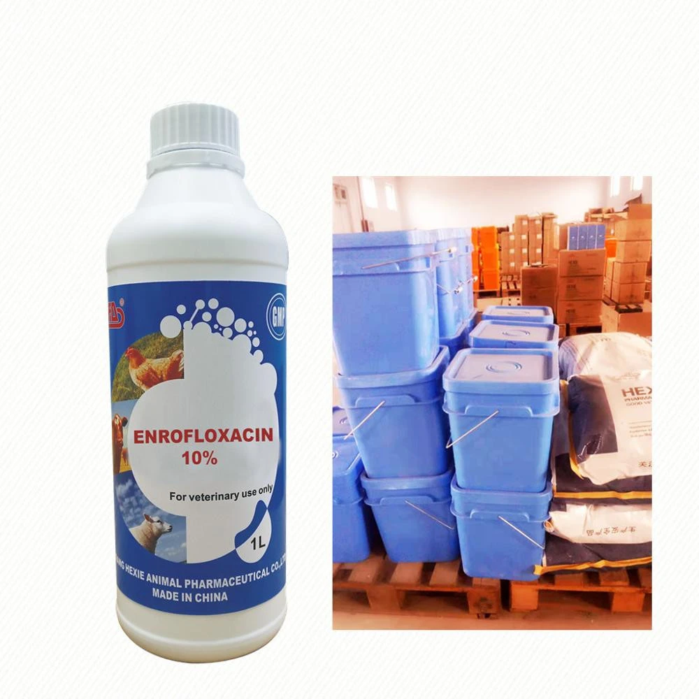 Bird/pigeon medicine anticoccidial drug for goats bacillus rabbit hexie brand ENR 10% Oral Solution