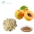 Import Bitter Apricot Seed Extract Powder Kernels Extract from China