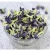 Import Blue Organic Dried Butterfly Pea Flower Tea from China
