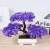Bonsai tree plant artificial plant with vase artificial pine tree