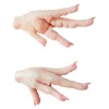 BRAZILIAN QUALITY HALAL FROZEN WHOLE CHICKEN AND PARTS / GIZZARDS / THIGHS / FEET / PAWS / DRUMSTICKS