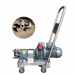 cam fuel pump eccentric rotor pump stainless steel lobe pumps