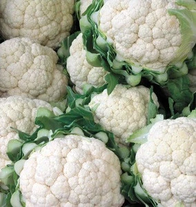 Cauliflower/Fresh broccoli
