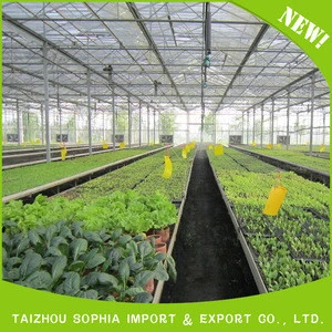 Cheap hot sale top quality High quality HDPE film for greenhouse