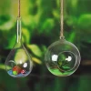 Cheap wholesale borosilicate glass hanging terrarium glass vase for plants and decoration accessories
