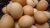 Import Chicken Fresh Eggs in wholesale from Germany