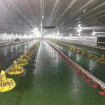 China Factory Supply Poultry Farm Drinking System/Animal Drinker For Watering Broiler and Breeder Chicken Birds