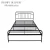 Import China Supply High Quality Single Metal Frame Folding Bed for Sale from China