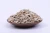 Import Chinese Dried Raw Candy Level Sunflower Seed Kernels from China