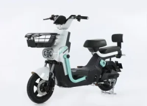 Chinese Manufacturers Produce Newly Designed Electric Bicycle
