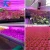 Import Chinese Products Wholesale Plant 12w led grow light for greenhouse from China