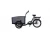 Import Classic 3 wheel bicycle middle drive three wheel electric cargo bike for family use from China