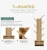 Import Creative Customizable color and size modern wood ladder tree shaped bookshelf from China