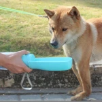 Customized Brand Amazon Top Seller Pets 500Ml Pet Water Bottle Exchange Foldable Dog Water Bottle 17Oz Puppy Feeding Bottle