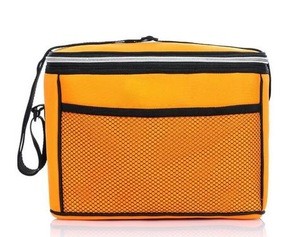 Customized insulated disposable cooler picnic bag