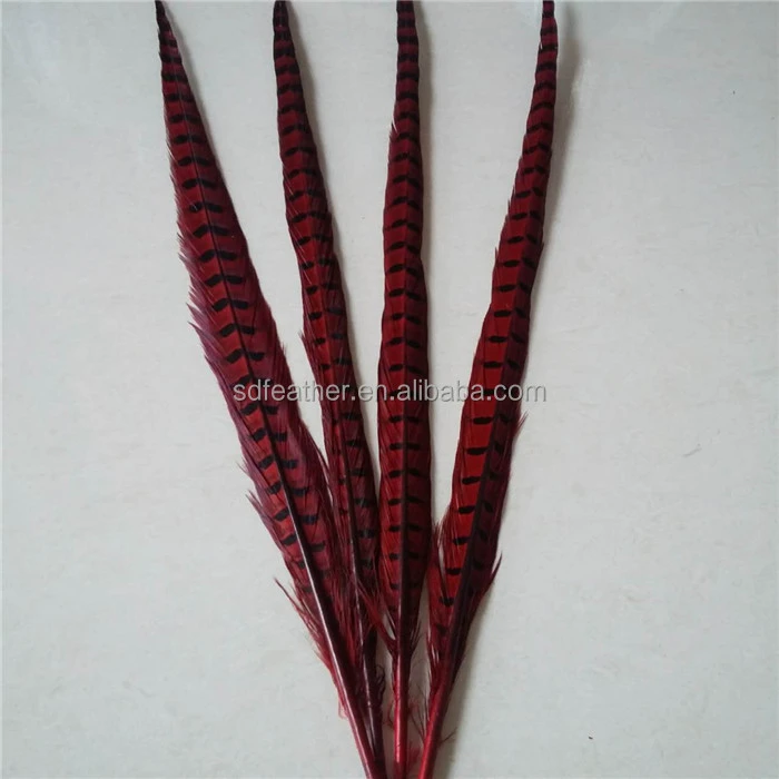 Directly Dyed Ringneck Pheasant Feathers