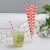 disposable 10mm biodegradable kraft drink straws paper white for bar