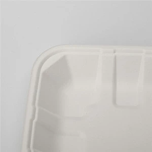Disposable Biodegradable Sugarcane Bagasse Rectangular Food Tray Meat bagasse rectangular tray