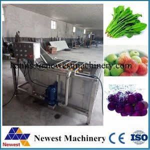 easy operation bubble type vegetable washer/commercial grape washing machine