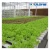 Import Eco-friendly Hot Slae Agriculture Double Layer Film Greenhouse With Aquaponic System from China