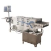 Efficiency Ice glazer machine for seafood, ice coater for meat