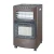 Import Electric fan Gas room Heater /3IN1 LPG/NG Gas Room Heater from China
