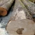 Import european ash wood log usa oak logs from China