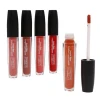 Excellent quality long lasting CHARLOTTE make your own glitter cheap liquid lip gloss