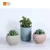 Import Exquisite Customized Natural Garden Small cobblestone/ Flower Pot Decoration from China
