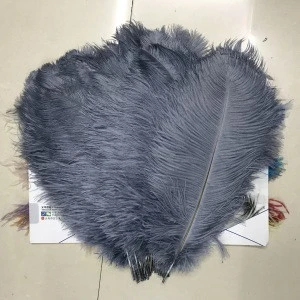 factory 40~45cm Wholesale  gray Ostrich Feather for sale
