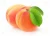 Import Factory direct selling apricot fresh dry apricot from South Africa