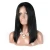 Import Factory direct supply 100% Human Virgin Hair  brazilian hair lace wig from China