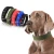 Import Factory supply custom dog collars dog training collar from China