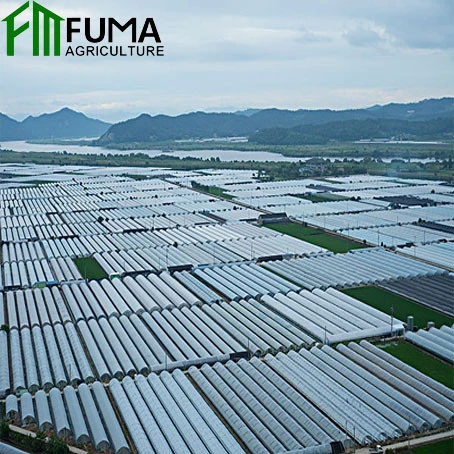 FM New Design Top Quality Galvanized Steel Structure Film Greenhouse