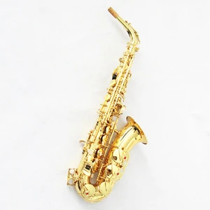 FOCUS FAS-150 Gold Lacquer Alto Saxophone With case, Reeds etc