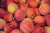 Import Freeze Dried Peach / Fresh Peach Fruits / Caned Peach Fruits from South Africa