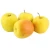 Import Fresh Golden Apple from USA