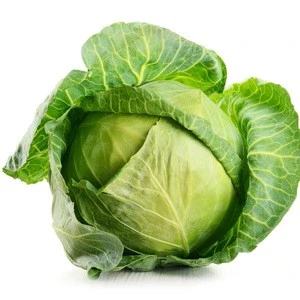 Fresh Green cabbages From Philippines