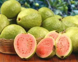 Fresh Guava From Vietnam