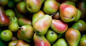 FResh Pears, Golden Pears, Bartlett pears