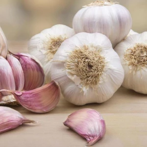 Fresh Pure White Garlic/ Normal White Garlic