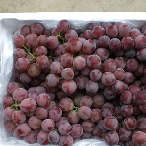 Fresh Quality Grape Now Available for Sales..