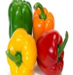 Fresh Red Chilli/ Hot Chili/ High Quality