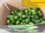 Import Fresh Seedless Lime Lemon 84981144196 Vietnam Style Packing 7 Kg Per Box with Green Color Natural Sour T/T, L/C 15 Days 4 up Cm from Vietnam