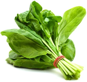 Fresh Spinach , Pakistan vegetable exporter