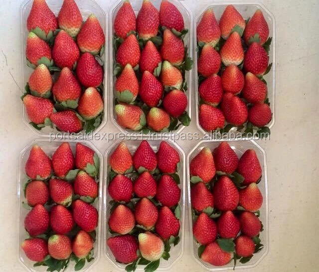 fresh strawberry TO Ghana