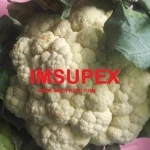 Fresh white cauliflower