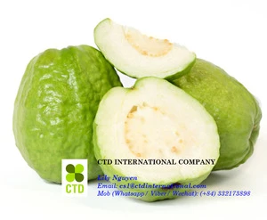 Fresh White Guava from Vietnam_good price