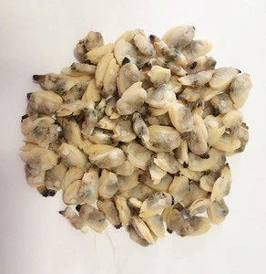 Frozen Clam Meat In Shellfish for sale